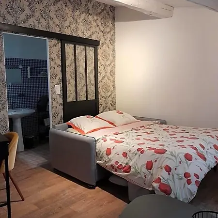 Bed and Breakfast Petit Cocon En Plein Centre Historique D'uzes - Place Aux Herbes En Zone Pietonniere 3*